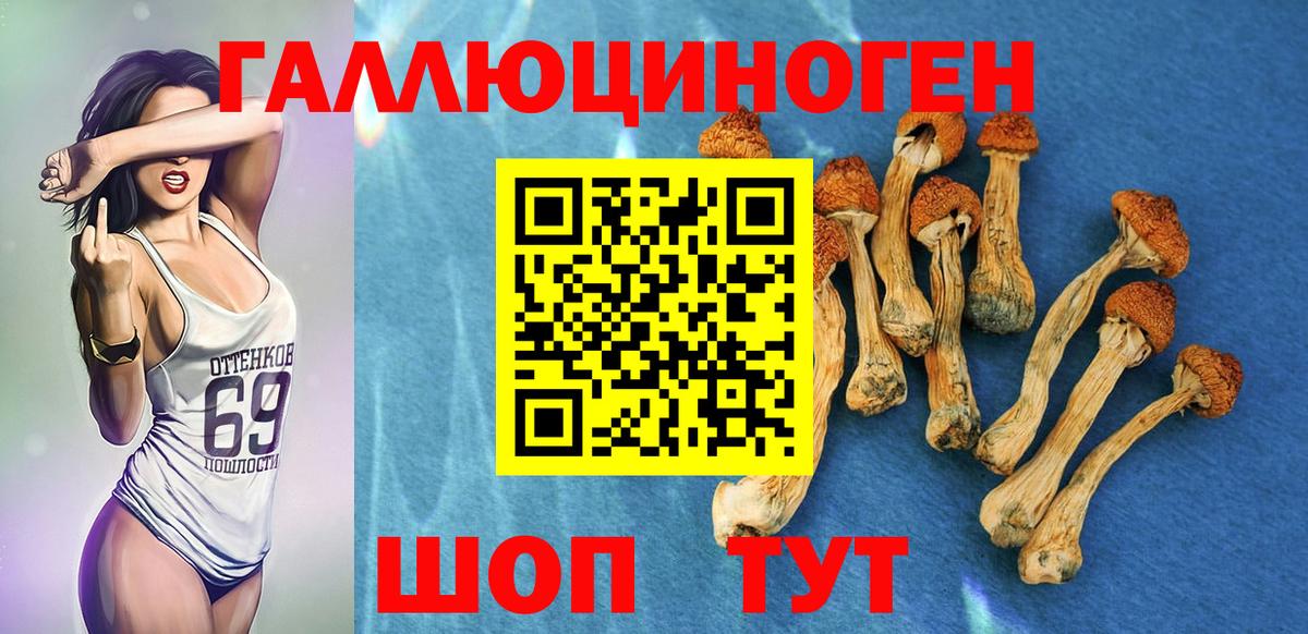 Галлюциногенные грибы прущие грибы Красноармейск
