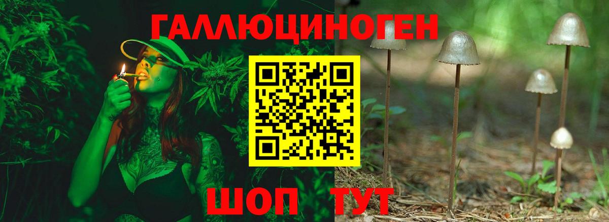 Псилоцибиновые грибы прущие грибы  Галлюциногенные грибы Cubensis  Красноармейск  Вход с VPN 