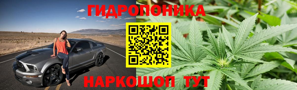 Каннабис план  Бошки марихуана OG Kush  Вход с VPN  Красноармейск 